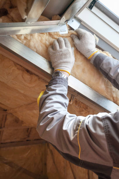Best Specialty Insulation in South Congaree, SC