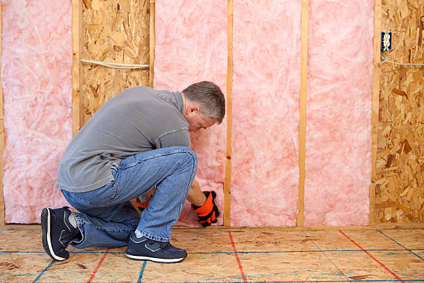 Best Insulation for Specific Applications in South Congaree, SC